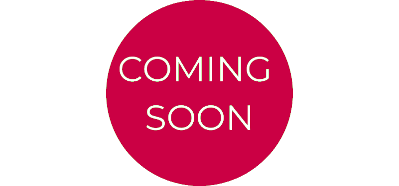 VAUXHALL CORSA GSE