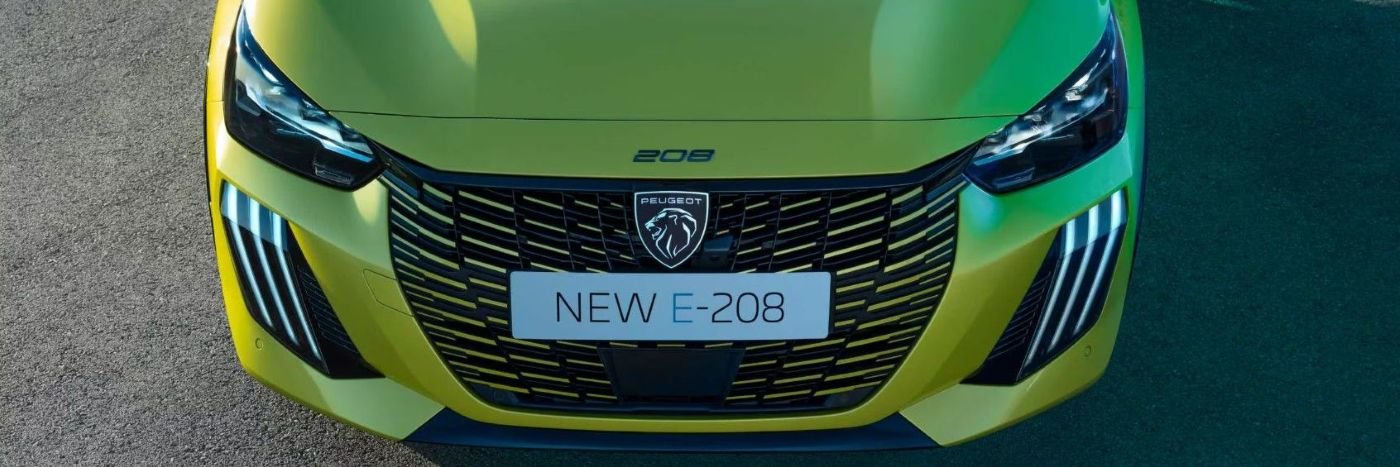 208 headlights and grille