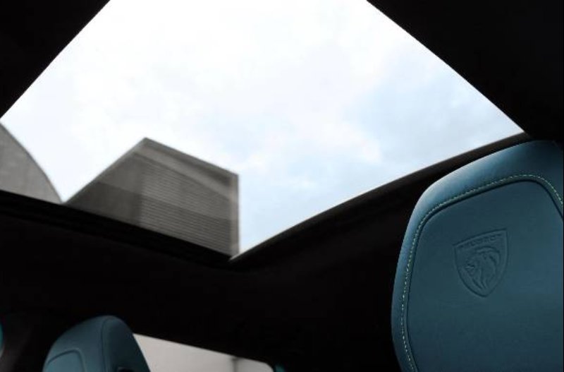 308 SW Hybrid Panoramic