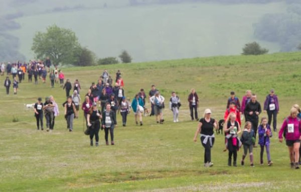 A large group of people walking on a grassy field during a hiking event.