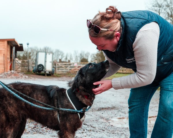 Woman in blue vest leans down to pet a black dog on a lead outdoors.
