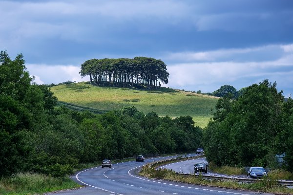 Curved road with cars, surrounded by trees and hills with a cluster of trees on top.
