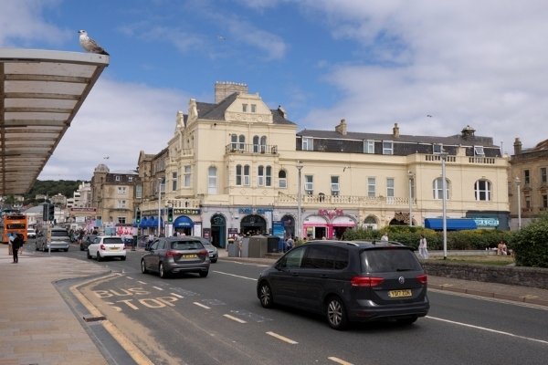 Seaside town street scene with traffic, a bus stop, and a seagull on a shelter roof.