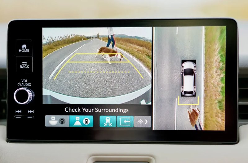 Rear camera display showing dog on the road behind parked car.