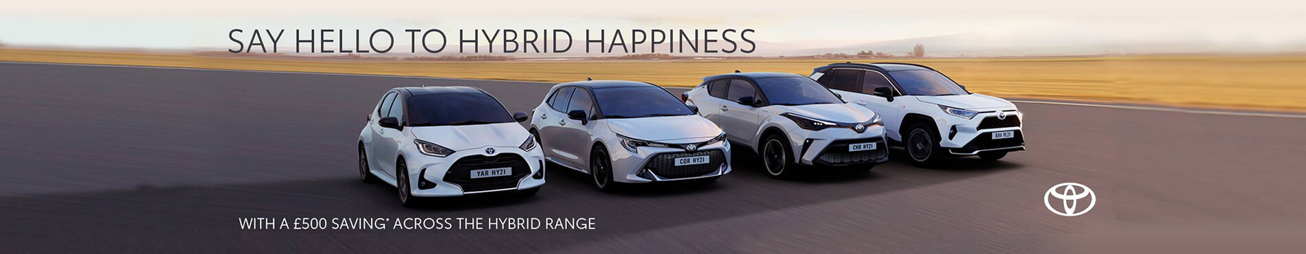 Hybrid Happiness