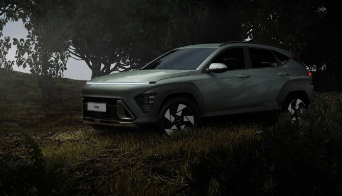 kona-in-forest