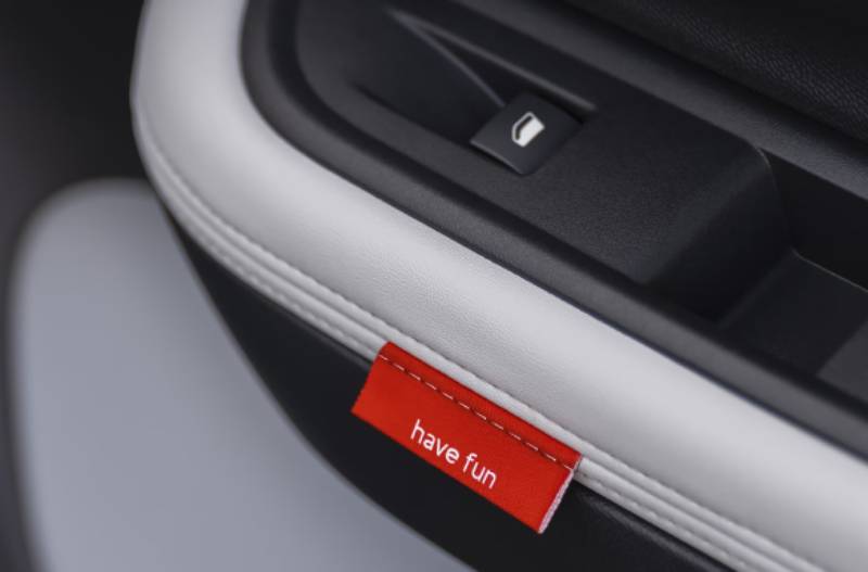 Car door handle with a have fun label and a window control switch.