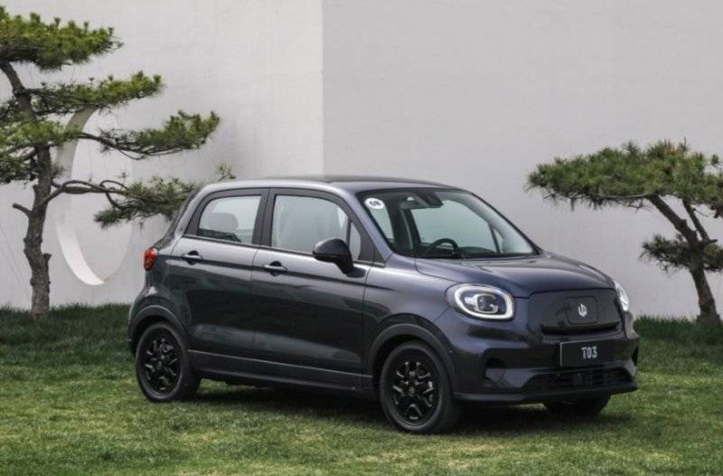 Dark compact car on grassy area beside stylised trees.